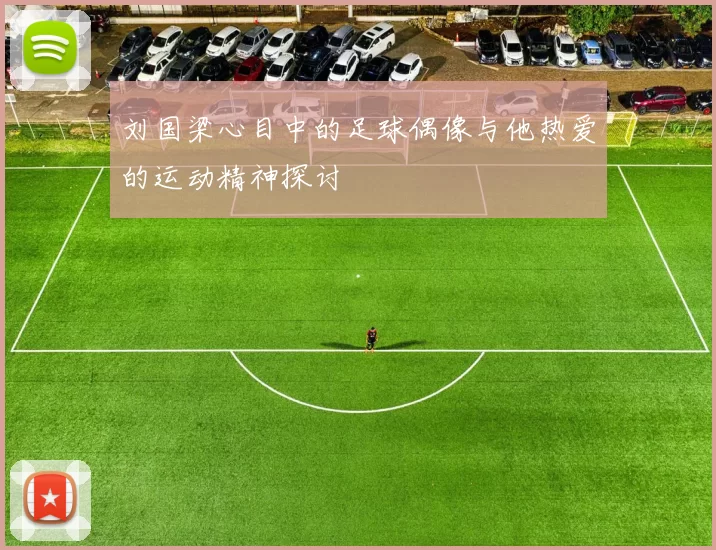 刘国梁心目中的足球偶像与他热爱的运动精神探讨