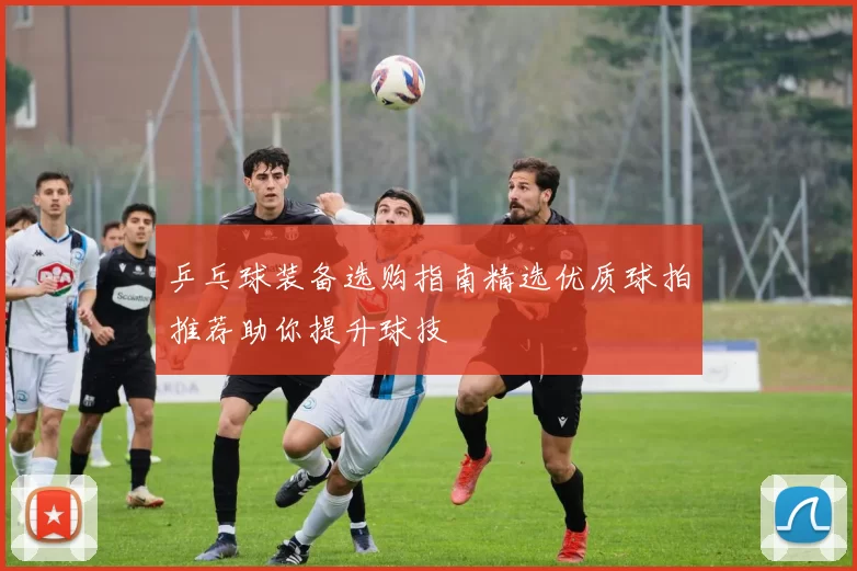 乒乓球装备选购指南精选优质球拍推荐助你提升球技