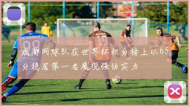 成都网球队在世界杯积分榜上以65分稳居第一名展现强劲实力