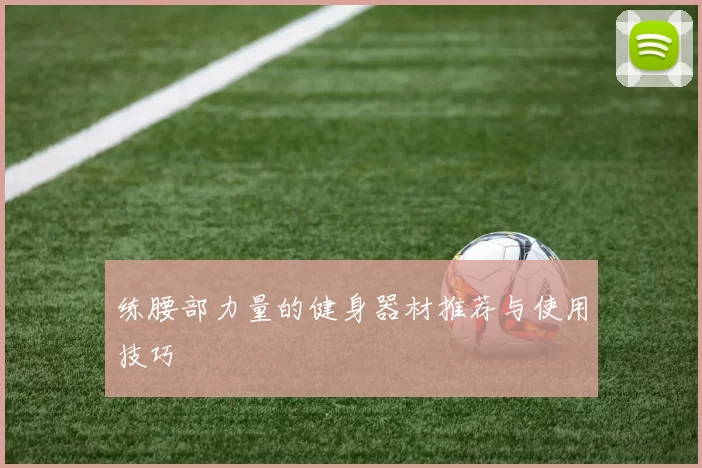 练腰部力量的健身器材推荐与使用技巧