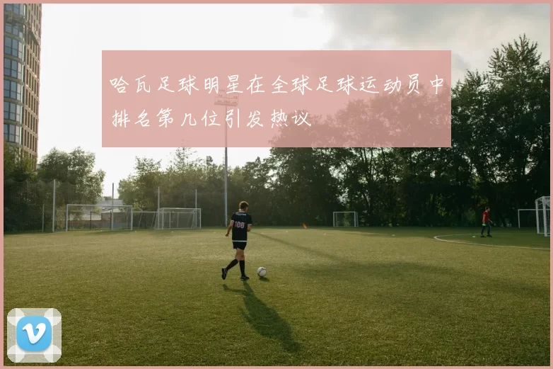 哈瓦足球明星在全球足球运动员中排名第几位引发热议