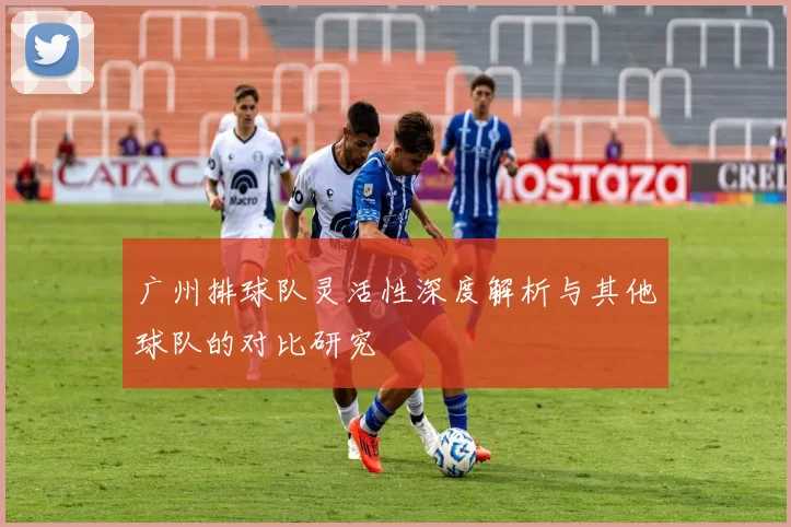 广州排球队灵活性深度解析与其他球队的对比研究