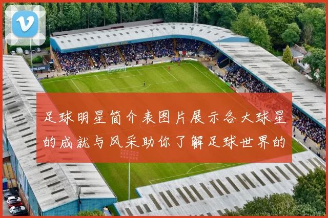 足球明星简介表图片展示各大球星的成就与风采助你了解足球世界的璀璨星辰