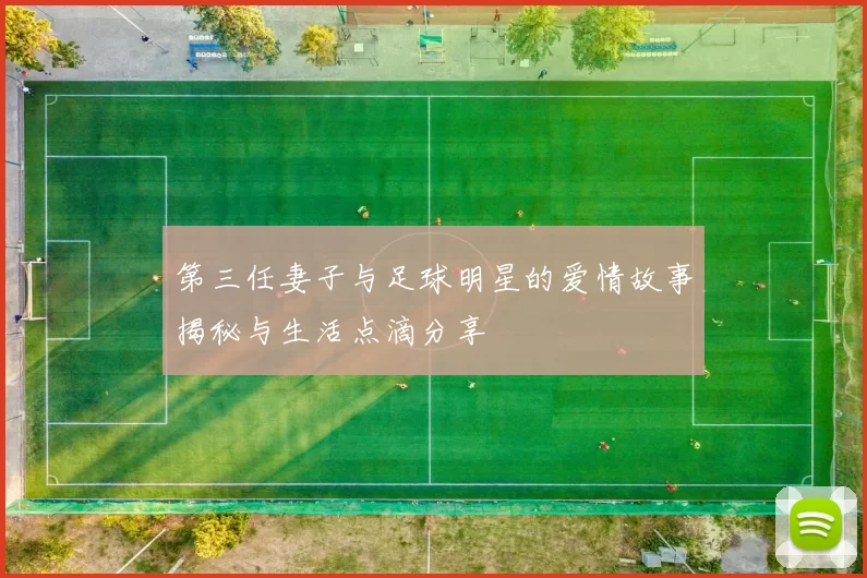 第三任妻子与足球明星的爱情故事揭秘与生活点滴分享