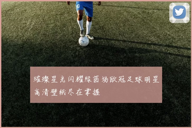璀璨星光闪耀绿茵场欧冠足球明星高清壁纸尽在掌握