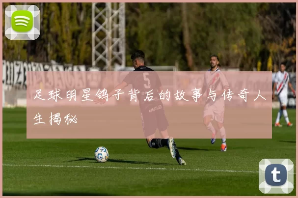 足球明星鸽子背后的故事与传奇人生揭秘