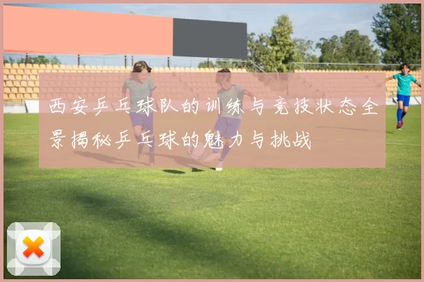 西安乒乓球队的训练与竞技状态全景揭秘乒乓球的魅力与挑战