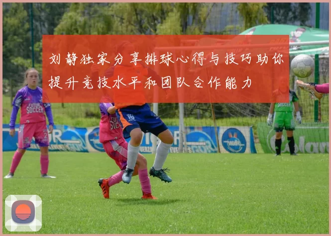 刘静独家分享排球心得与技巧助你提升竞技水平和团队合作能力