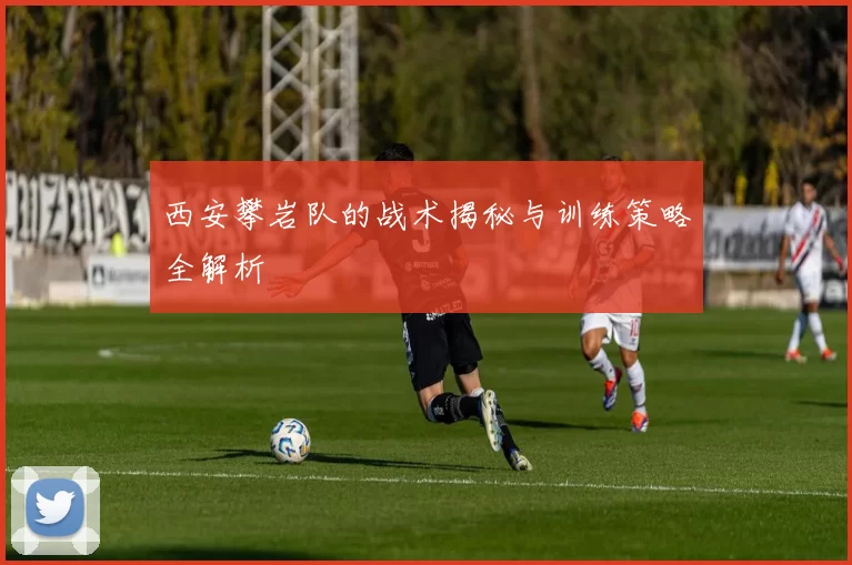 西安攀岩队的战术揭秘与训练策略全解析