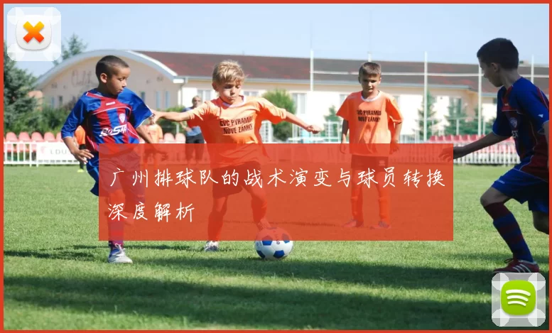 广州排球队的战术演变与球员转换深度解析