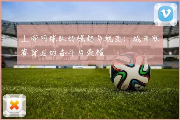 上海网球队的崛起与蜕变：城市联赛背后的奋斗与荣耀