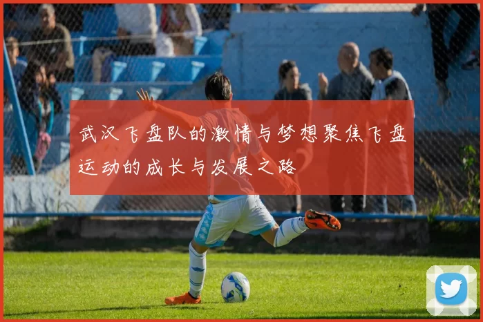 武汉飞盘队的激情与梦想聚焦飞盘运动的成长与发展之路