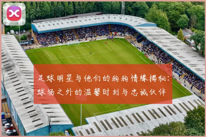 足球明星与他们的狗狗情缘揭秘：球场之外的温馨时刻与忠诚伙伴