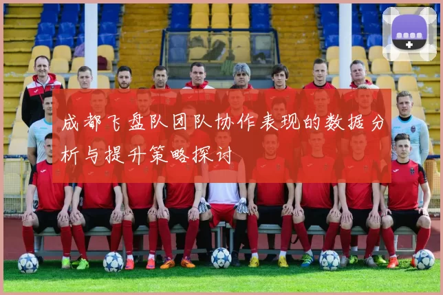 成都飞盘队团队协作表现的数据分析与提升策略探讨