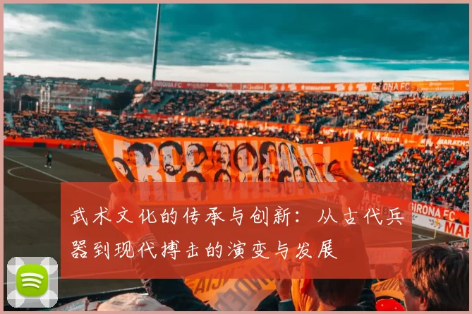 武术文化的传承与创新：从古代兵器到现代搏击的演变与发展