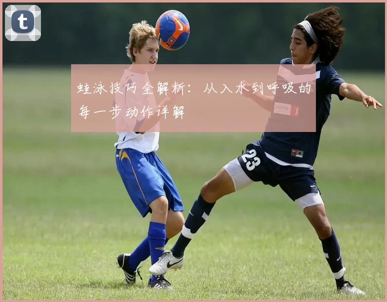 蛙泳技巧全解析：从入水到呼吸的每一步动作详解