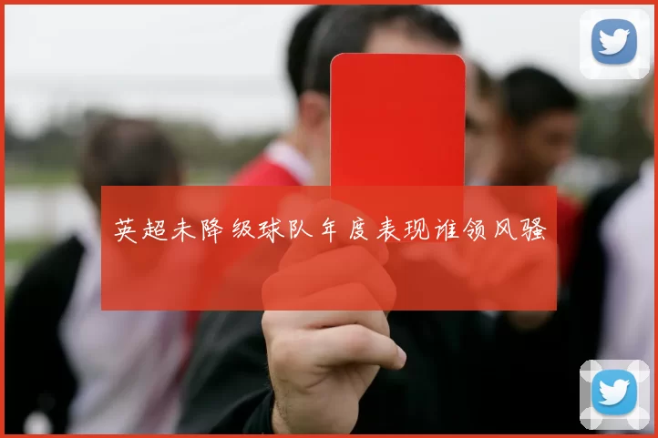 英超未降级球队年度表现谁领风骚
