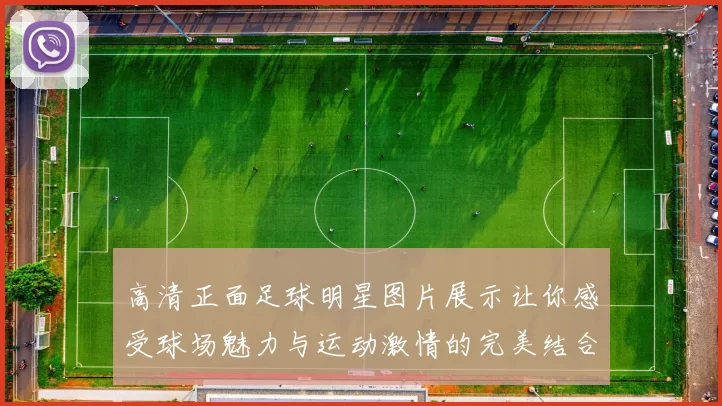 高清正面足球明星图片展示让你感受球场魅力与运动激情的完美结合