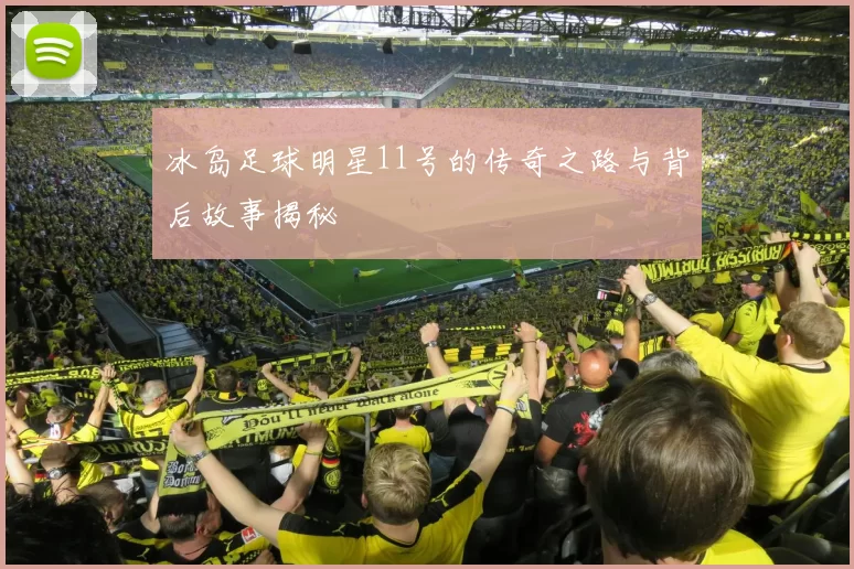 冰岛足球明星11号的传奇之路与背后故事揭秘
