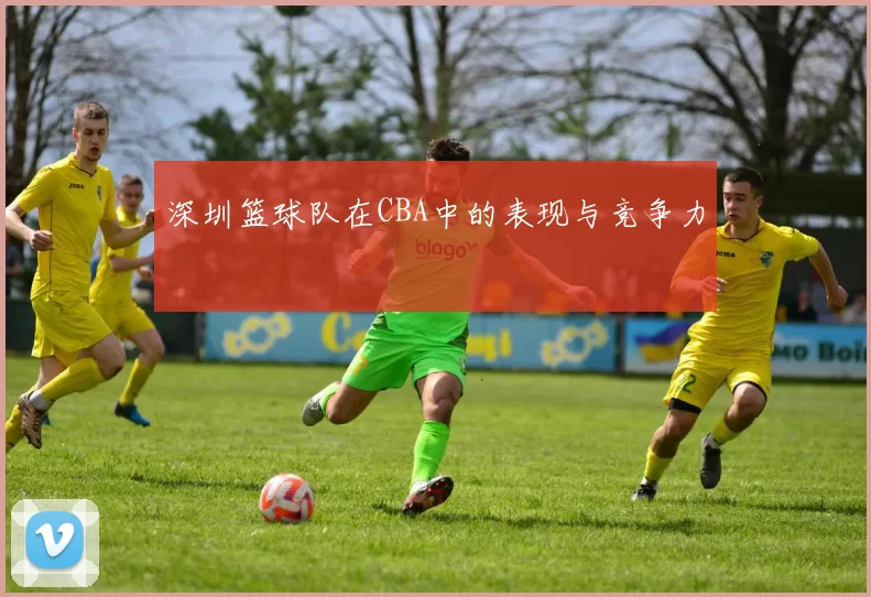 深圳篮球队在CBA中的表现与竞争力