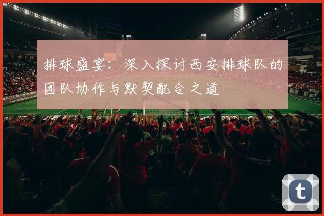 排球盛宴：深入探讨西安排球队的团队协作与默契配合之道