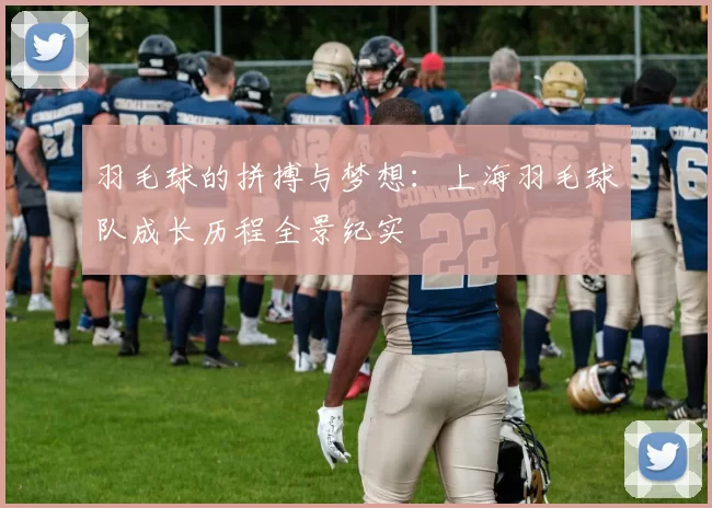 羽毛球的拼搏与梦想：上海羽毛球队成长历程全景纪实