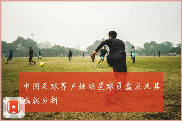 中国足球界卢姓明星球员盘点及其成就分析