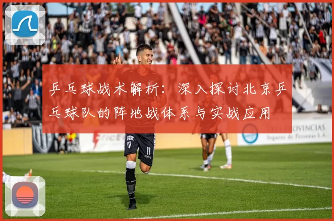 乒乓球战术解析：深入探讨北京乒乓球队的阵地战体系与实战应用