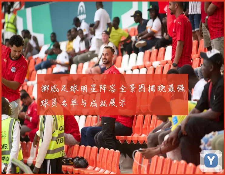 挪威足球明星阵容全景图揭晓最强球员名单与成就展示